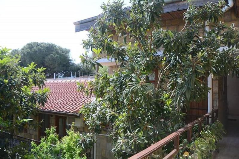 Antonios Motel Side Exteriör bild